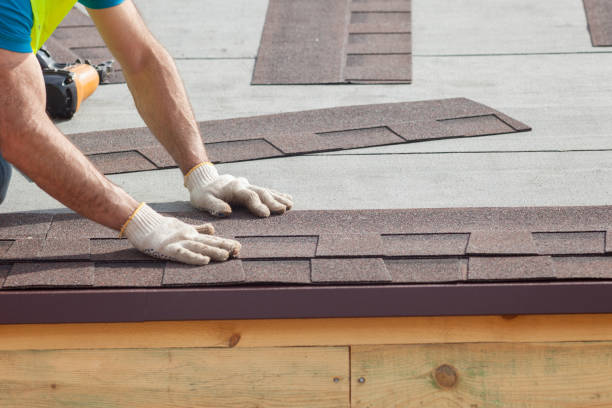 Best Sheet Metal Roofing  in Roswell, NM