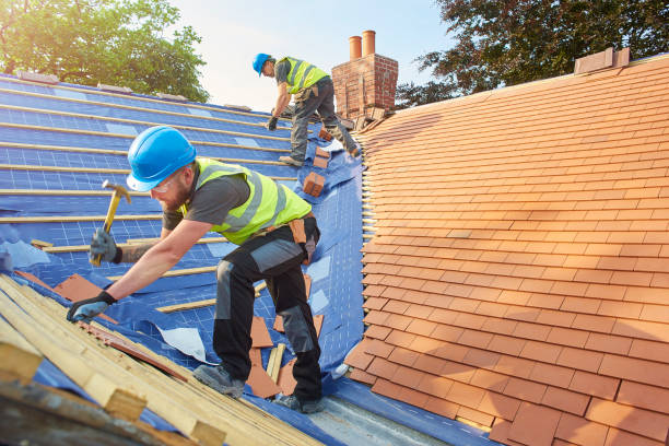 Best Cold Roofs  in Roswell, NM